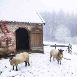 Wettervorhersage Norden bedeckt mit Schneeschauern die sich langsam ausbreiten