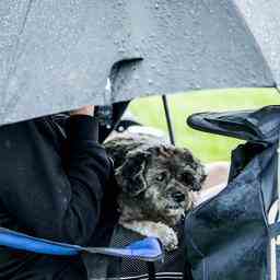 Woechentliche Wettervorhersage Schauer und nasser Schnee unterwegs Innere