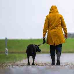 Woechentlicher Wetterbericht Der Fruehling beginnt mit viel Regen und Wind