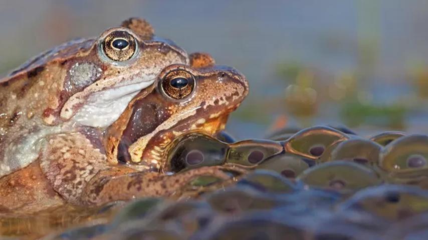 1680768362 823 Endlich ein normaler Fruehling in Zeeland Aus anderen Medien