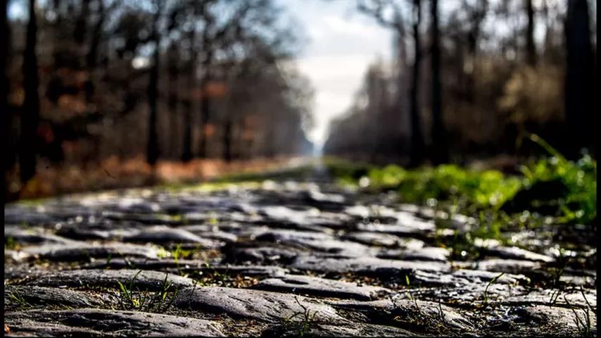 1680998950 959 Paris Roubaix ist ein wunderschoenes Rennen voller beschissener Strassen Aus