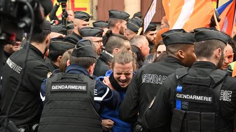 Demonstranten drohen Gefaengnis weil sie Macron aus dem Konzept gebracht