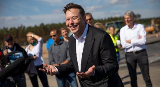 Elon Musk CEO von Twitter legt das Enddatum fuer Blue