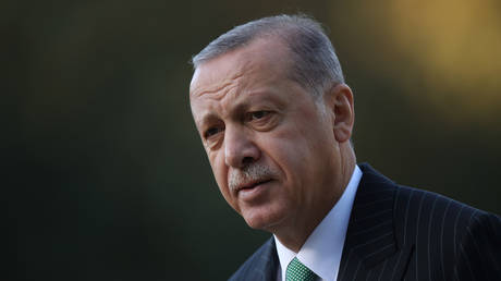 Erdogan sagt Reisen aus gesundheitlichen Gruenden ab — World