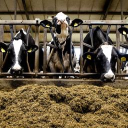 Gespraeche ueber Agrarabkommen noch schwierig Mitte Mai mehr Klarheit