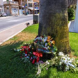 Gibt es im Fall von Carlo Heuvelmans Tod weitere Ermittlungen