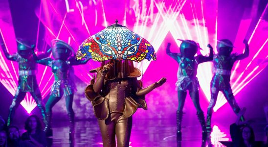 Hier sind Ihre neuen Masked Singer Enthuellungen