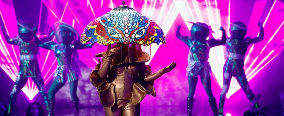 Hier sind Ihre neuen Masked Singer Enthuellungen