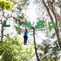 Kletterabenteuer im Kletterwald Harderwijk ab 2200 Uhr fuer 1500 Euro