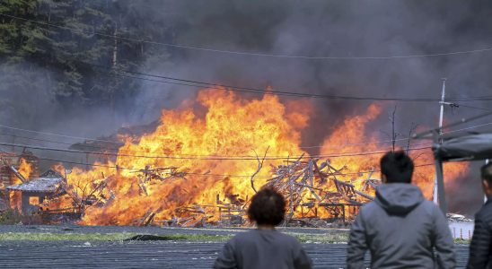 Lauffeuer in suedkoreanischer Stadt angefacht von starken Winden 300 Einwohner