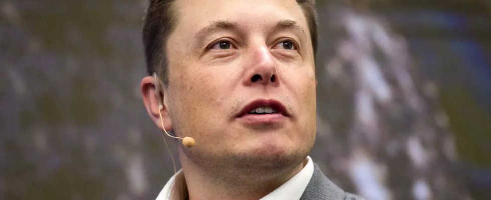 Musk Elon Musk arbeitet moeglicherweise daran einen ChatGPT Rivalen zu schaffen