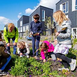 National Bee Count wird wegen Kaelte um eine Woche verlaengert