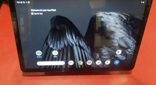 Pixel Preisdetails fuer das Google Pixel Tablet sind durchgesickert koennen