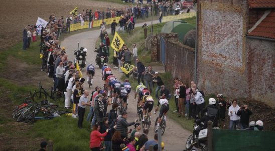 So gewann Van der Poel in Roubaix „Von Anfang bis