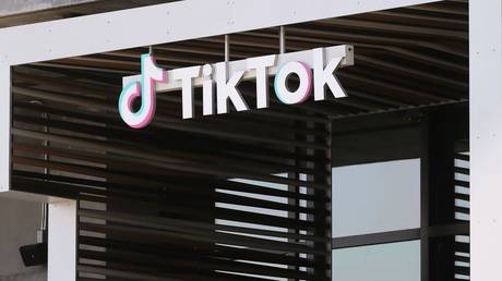 TikTok sagt „Klima Fehlinformationen den Kampf an — World