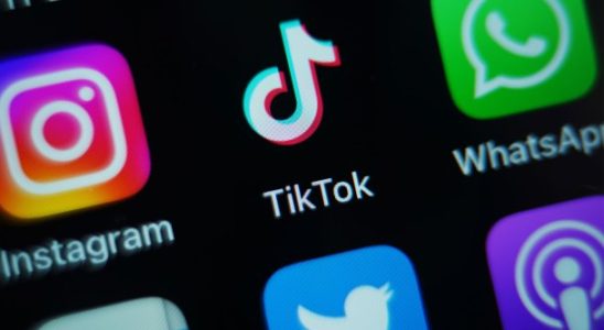 TikTok testet ein In App Tool das generative KI Avatare erstellt