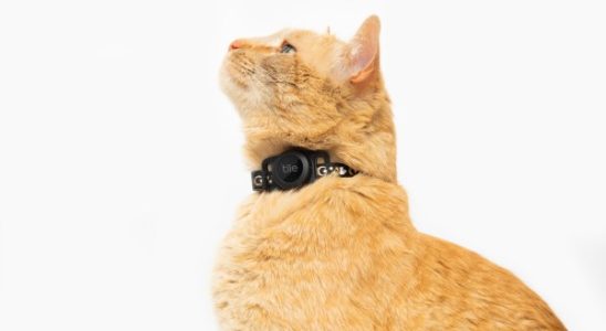 Tile bringt ein neues Katzen Tracking Tag mit dreijaehriger Batterielebensdauer auf den