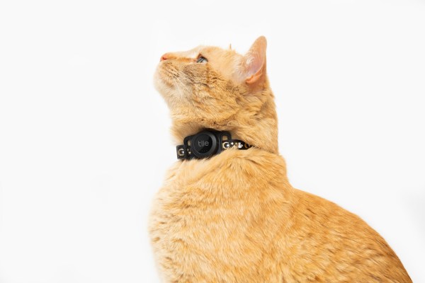 Tile bringt ein neues Katzen Tracking Tag mit dreijaehriger Batterielebensdauer auf den