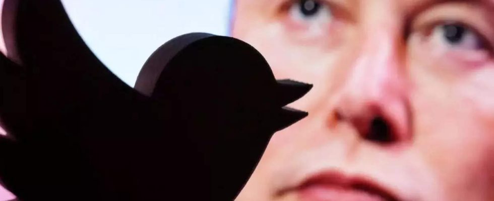 Twitter Blue Ticks Twitter gibt Prominenten mit ueber 1 Million