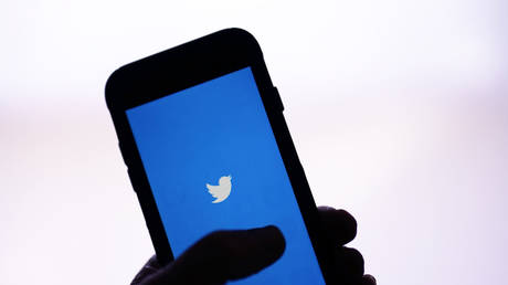 Twitter beginnt mit der Saeuberung von blauen Haekchen — World