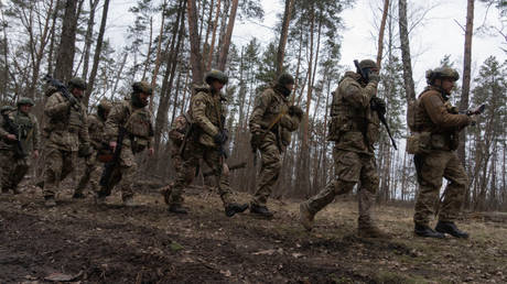 USA bauen militaerisches Training fuer die Ukraine aus — RT