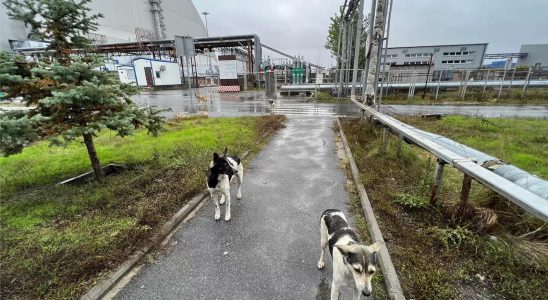 Ukraine kritisiert russische „Erpressung zum Jahrestag von Tschernobyl