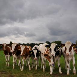 Wettervorhersage Der Tag beginnt trocken aber spaeter Regen aus dem