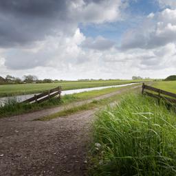 Wettervorhersage Heute Nachmittag ist es ziemlich sonnig mit einigen Quellwolken