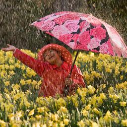 Wettervorhersage Viel Regen und Wolken also noch kein Fruehlingswetter