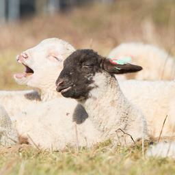 Wettervorhersage Viel Sonnenschein und trocken aber es kann sich kuehl