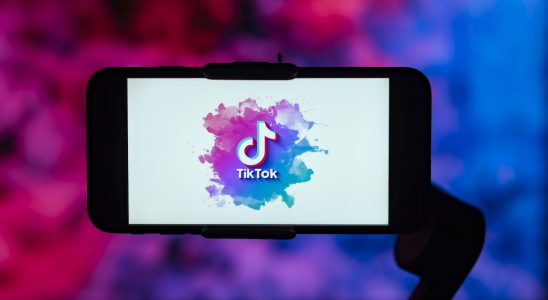 Zusammenfassung von Tech SaaS Benchmarks TikTok Strategie meilensteinbasiertes Fundraising