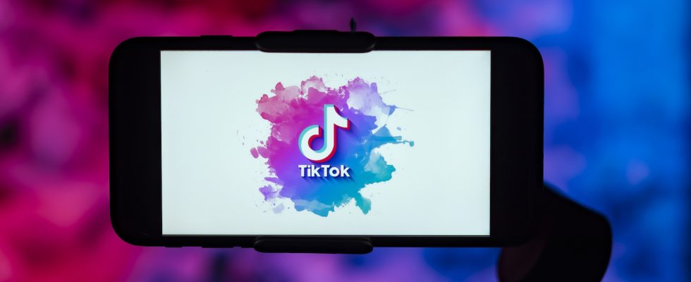 Zusammenfassung von Tech SaaS Benchmarks TikTok Strategie meilensteinbasiertes Fundraising