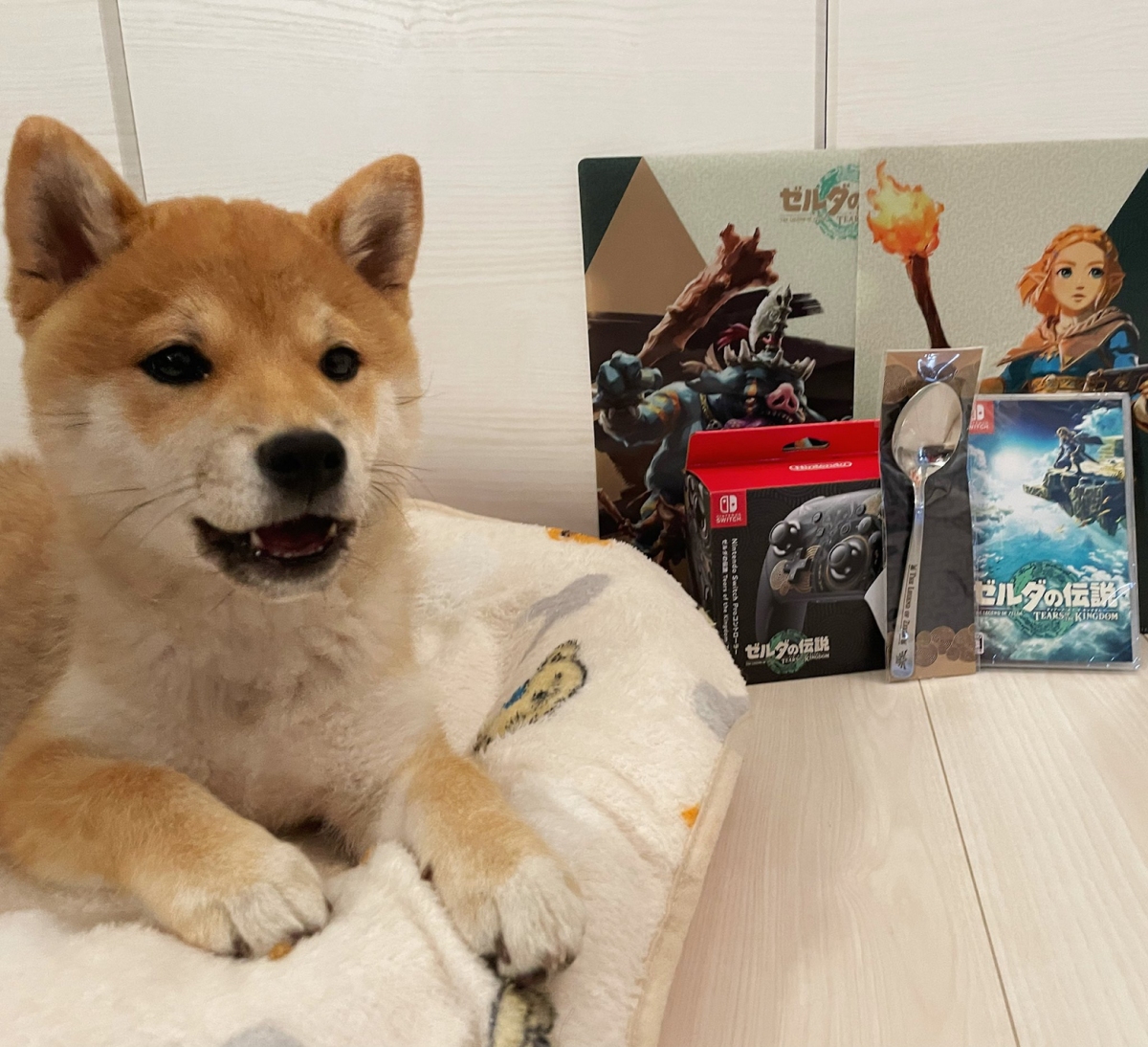 Zelda der Hund mit Tears of the Kingdom Löffel-Controller und Spiel