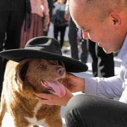 Aeltester Hund aller Zeiten blaest 31 Kerzen aus Tiere