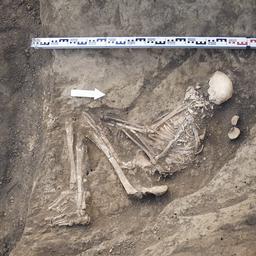 Archaeologen finden in Polen ein 7000 Jahre altes Skelett