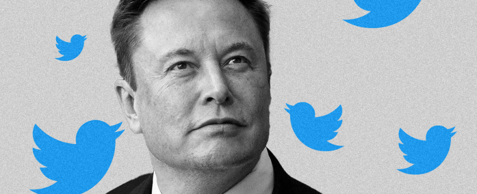 Aus diesem Grund entschuldigt sich Elon Musk bei Twitter Nutzern