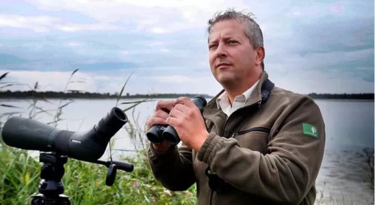 Bald wird dieser riesige Fisch wieder in niederlaendischen Gewaessern schwimmen