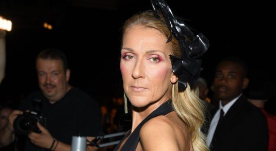 Celine Dion bricht Tour aufgrund einer neurologischen Erkrankung ab