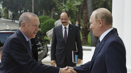 Der siegreiche Erdogan verspricht sein Versprechen gegenueber Putin zu erfuellen