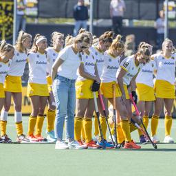 Die Eishockeyspieler Den Bosch fehlen nach einem Vierteljahrhundert im Finale