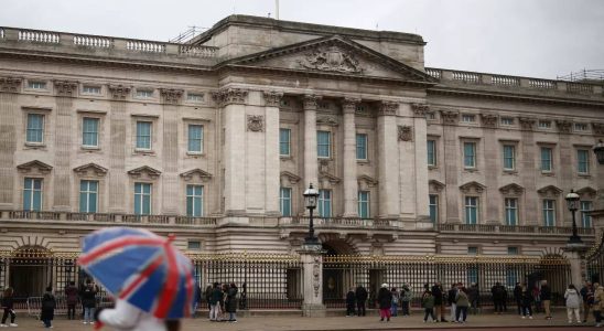 Die Londoner Polizei nimmt einen Mann vor dem Buckingham Palace