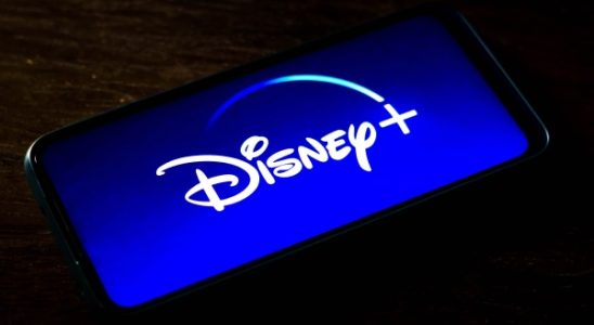 Disney plant Disney und Hulu noch in diesem Jahr in