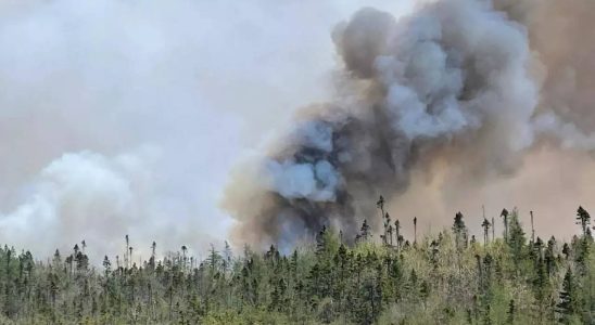 Ein Waldbrand an Kanadas Atlantikkueste erzwingt die Evakuierung von 16000