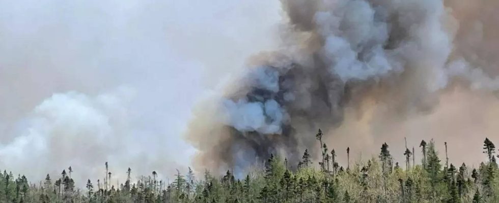 Ein Waldbrand an Kanadas Atlantikkueste erzwingt die Evakuierung von 16000