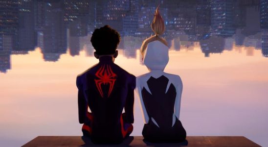 Eine Rezension von Spider Man Across the Spider Verse