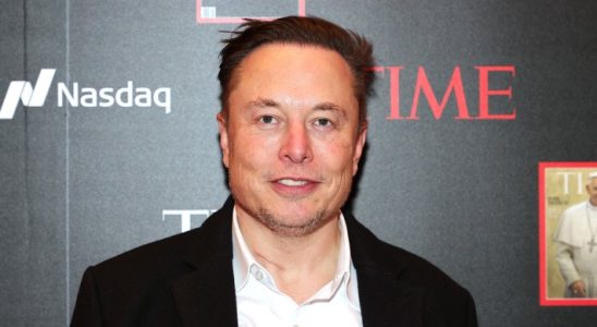 Elon Musk sagt Tesla werde „ein wenig Werbung versuchen