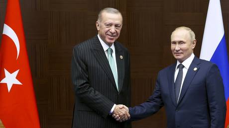 Erdogan lobt „besondere Beziehung zu Putin – World