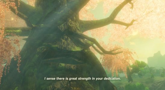 Ich spiele immer noch Breath of the Wild nur um