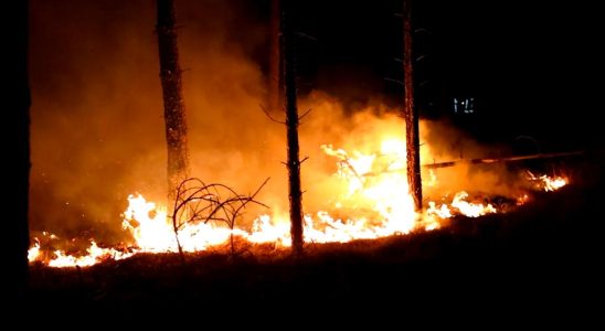 Katastrophenplan in den belgischen Ardennen wegen Grossbrand im Naturschutzgebiet aktiviert