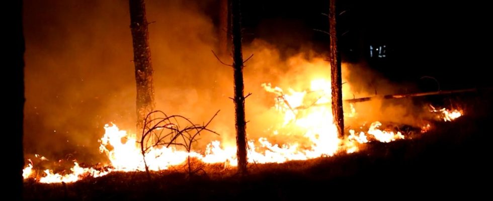 Katastrophenplan in den belgischen Ardennen wegen Grossbrand im Naturschutzgebiet aktiviert